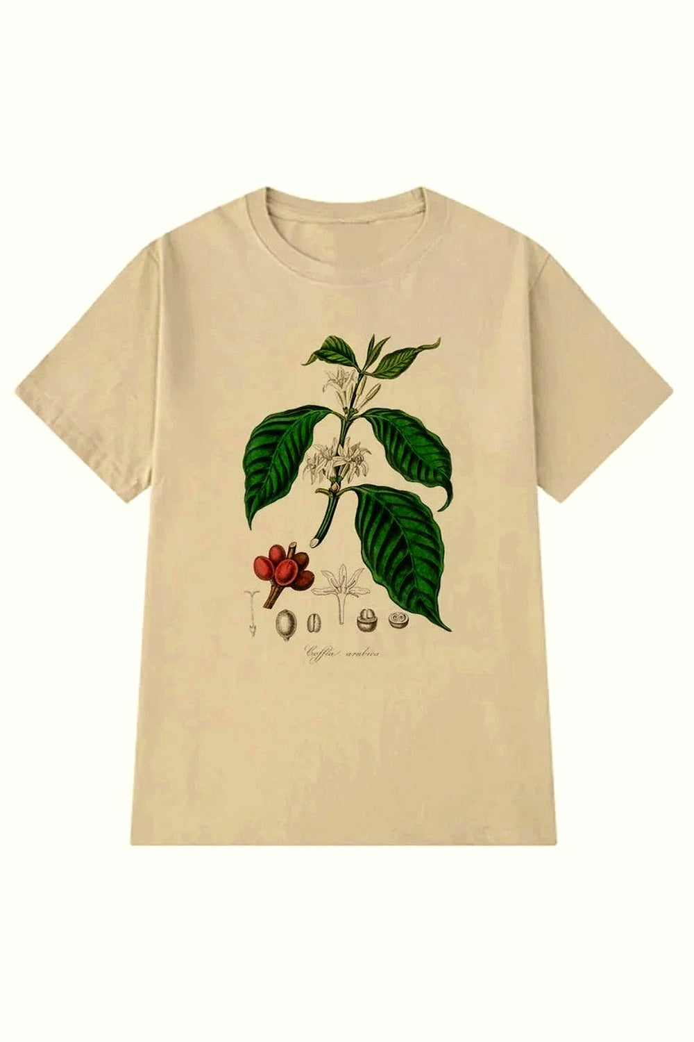 Y2k Vintage Coffee Plant Graphic Women's T-Shirt
