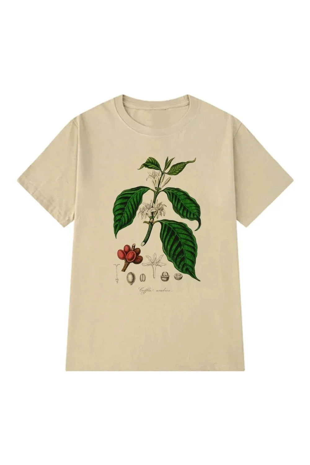 Y2k Vintage Coffee Plant Graphic Women's T-Shirt
