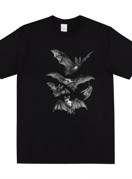 Nattlig flygning överdimensionerad t-shirt