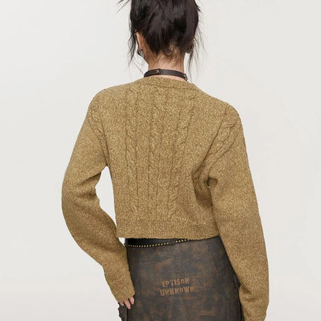 Lace-Up Cable Knit Crop Sweater