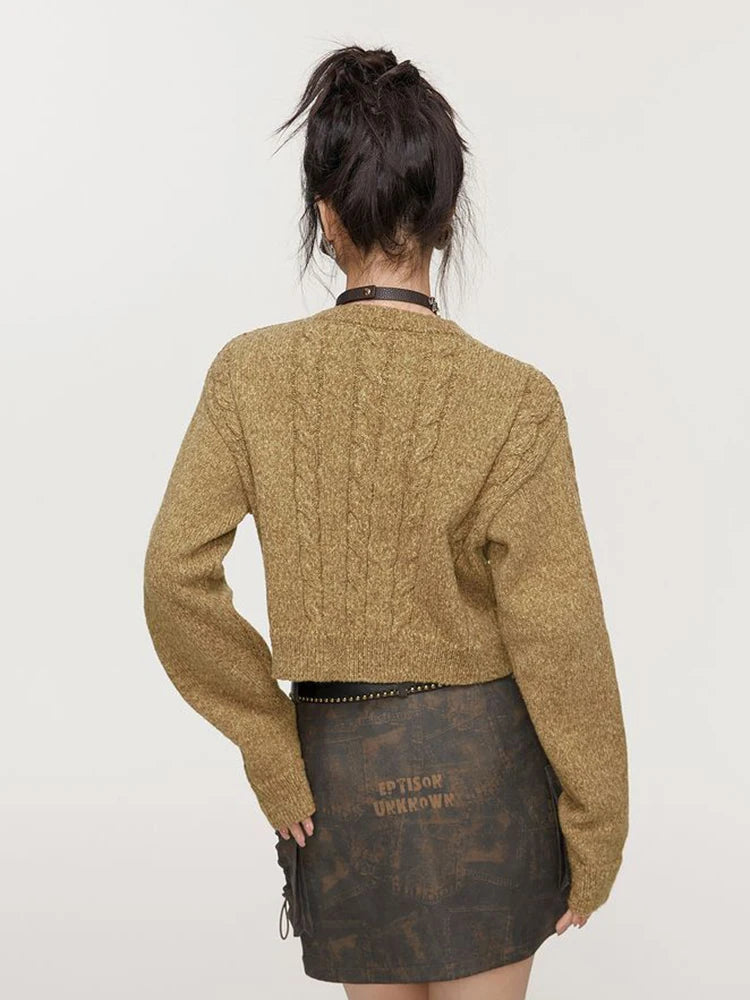 Lace-Up Cable Knit Crop Sweater