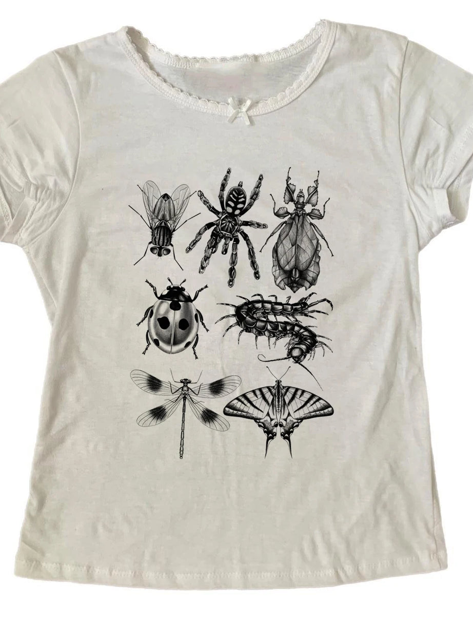 49530313376031|49530313408799|49530313441567