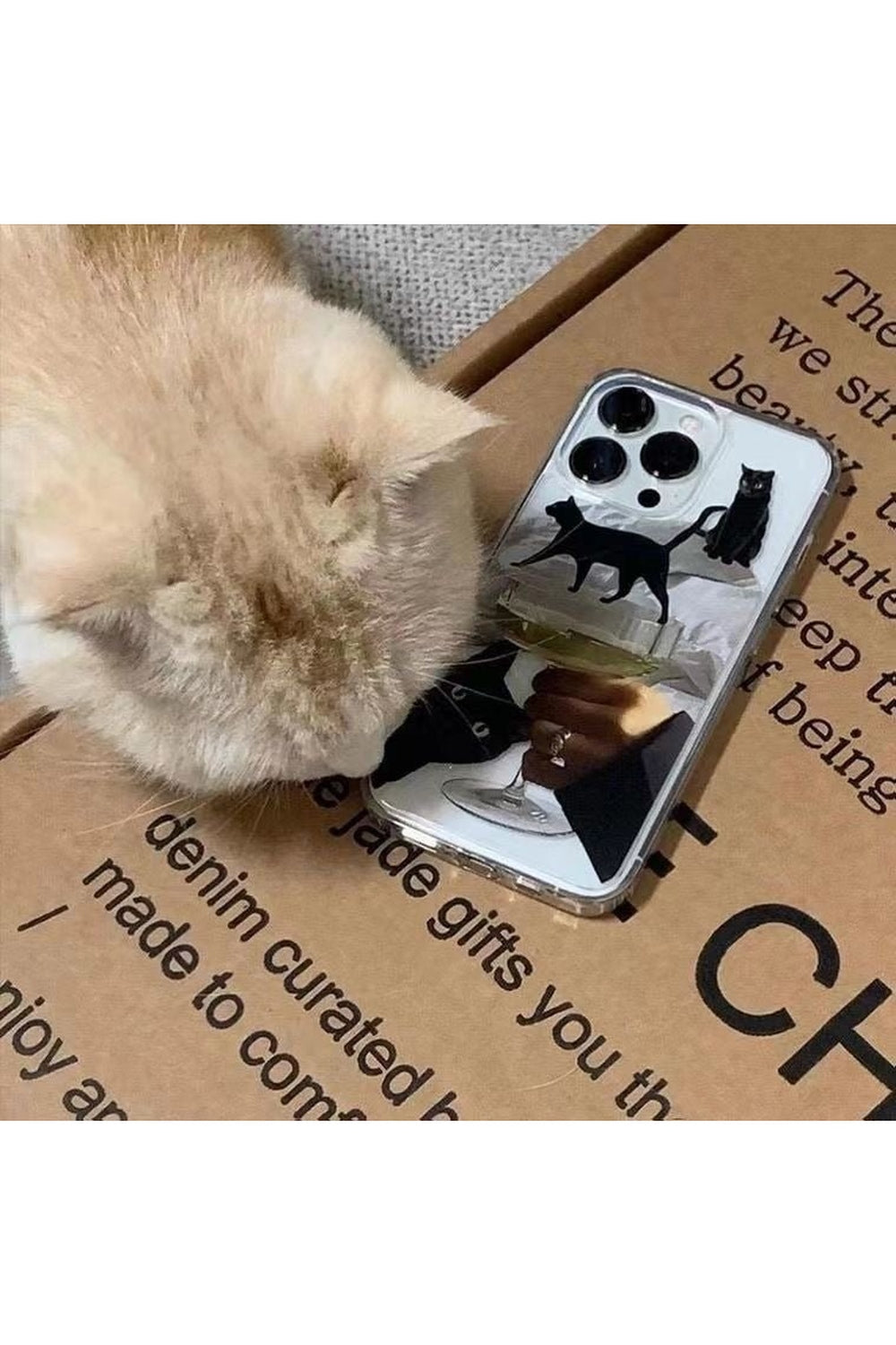 Y2k Artsy Funny Black Cat Wine Case for iPhone