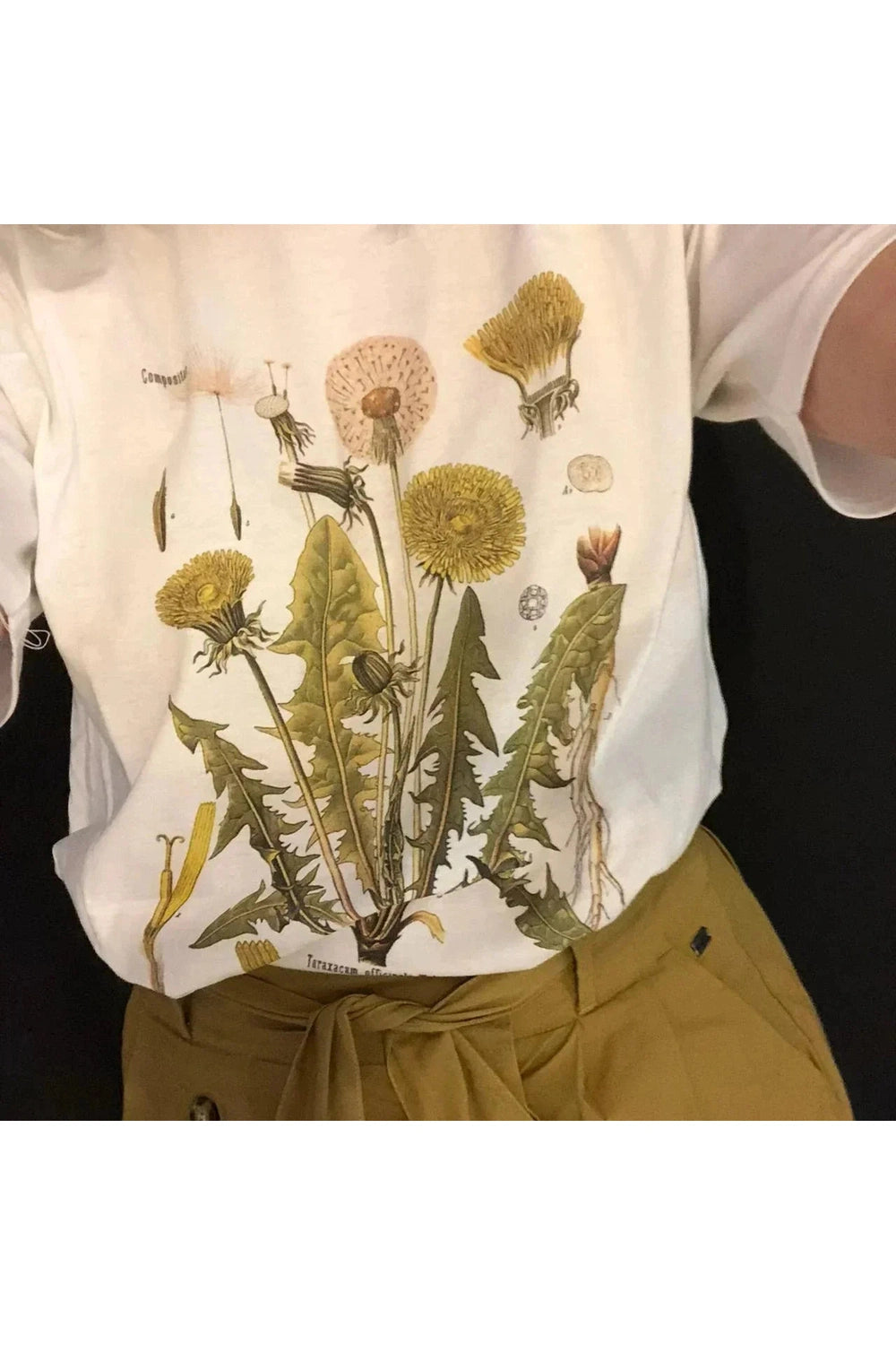 Y2k Dandelion Botanical T-shirt