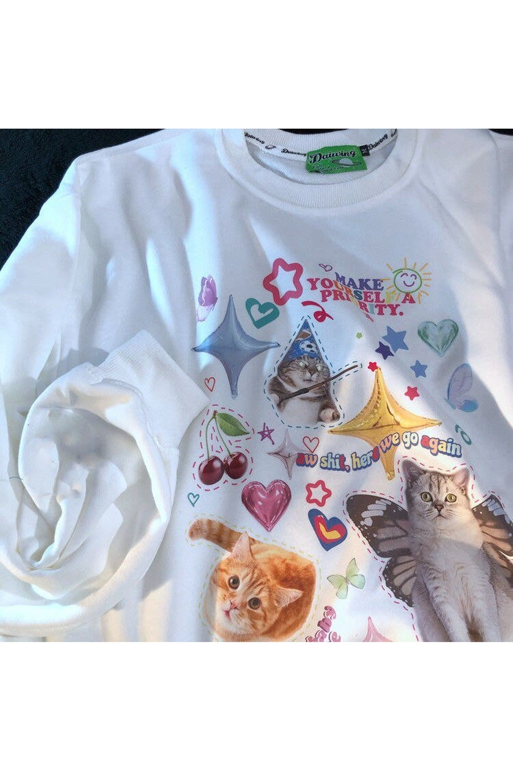 Y2k Dreamcore Cat Print Long Sleeve Hoodie