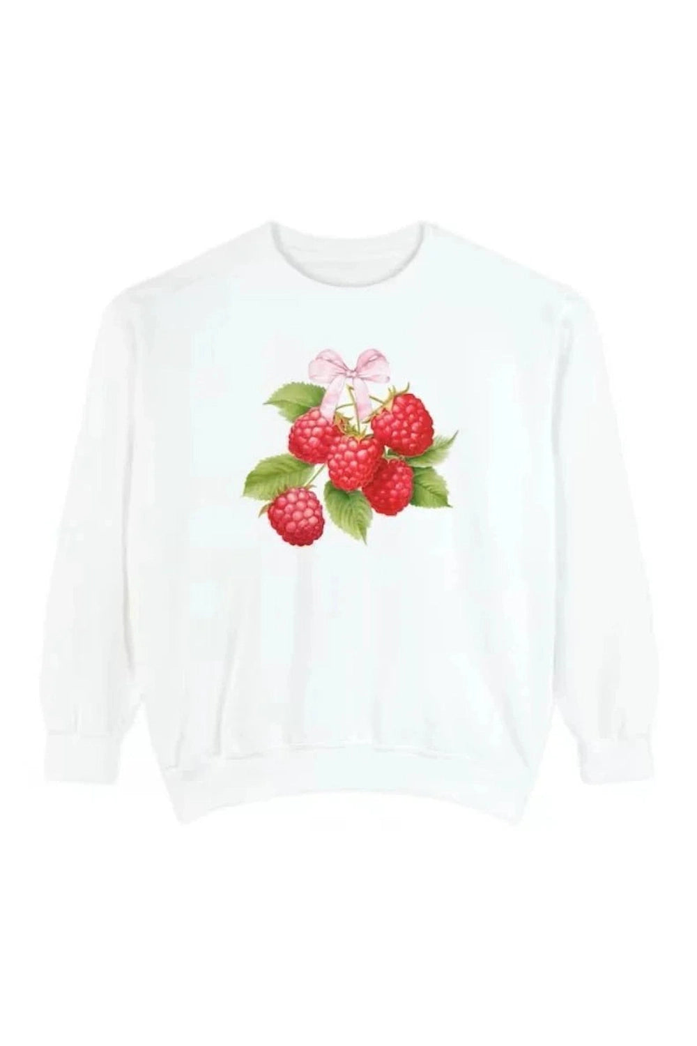 Y2k Sweet Raspberry Delight Sweatshirt