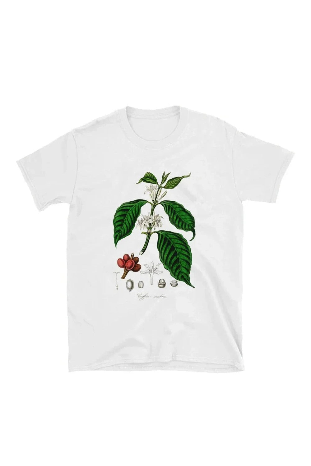 Y2k Vintage Coffee Plant Graphic Women's T-Shirt